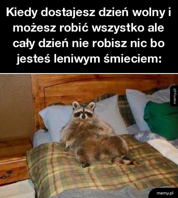 Wolny dzień
