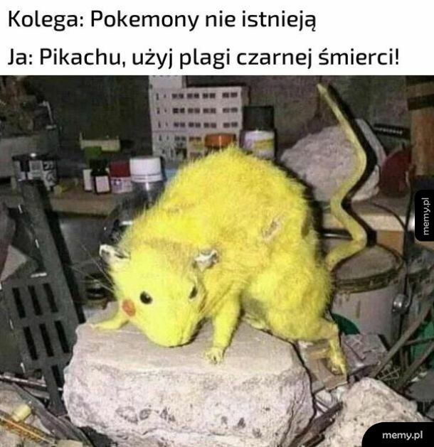 Pokemony na żywo