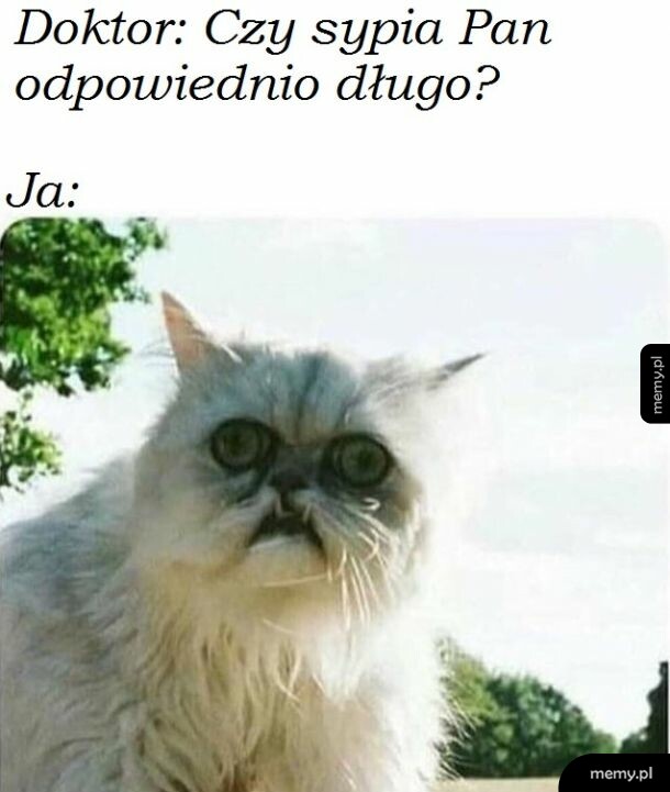 Spanko