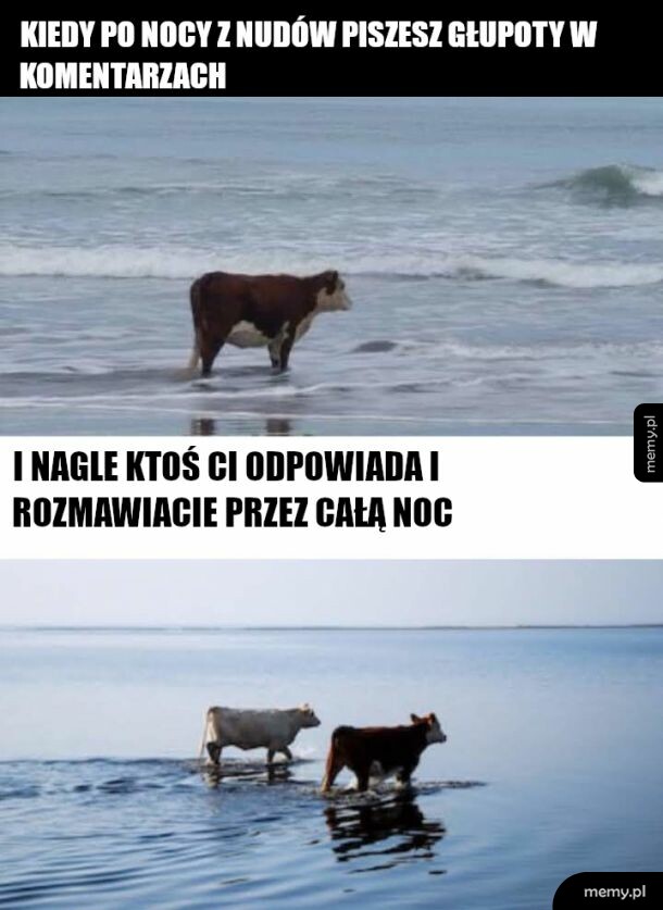 Taki dziwny przyjaciel w necie