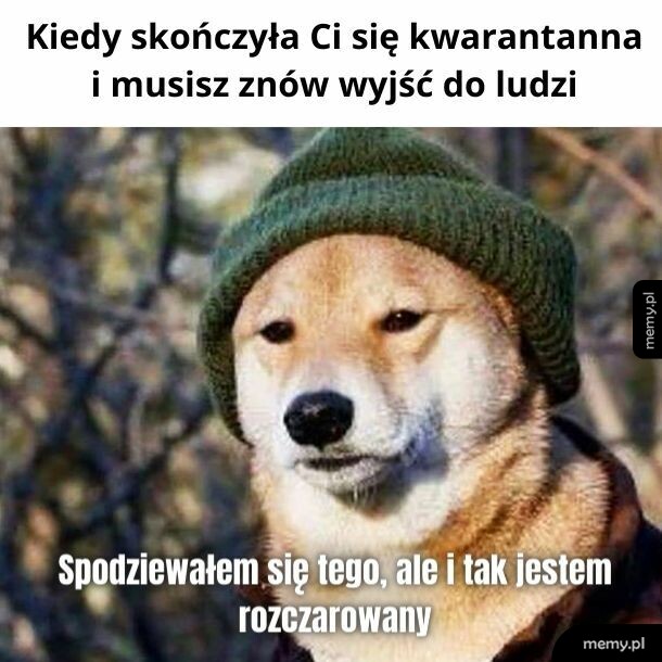 Teraz znów muszę naściemniać, że miałem z kimś kontakt
