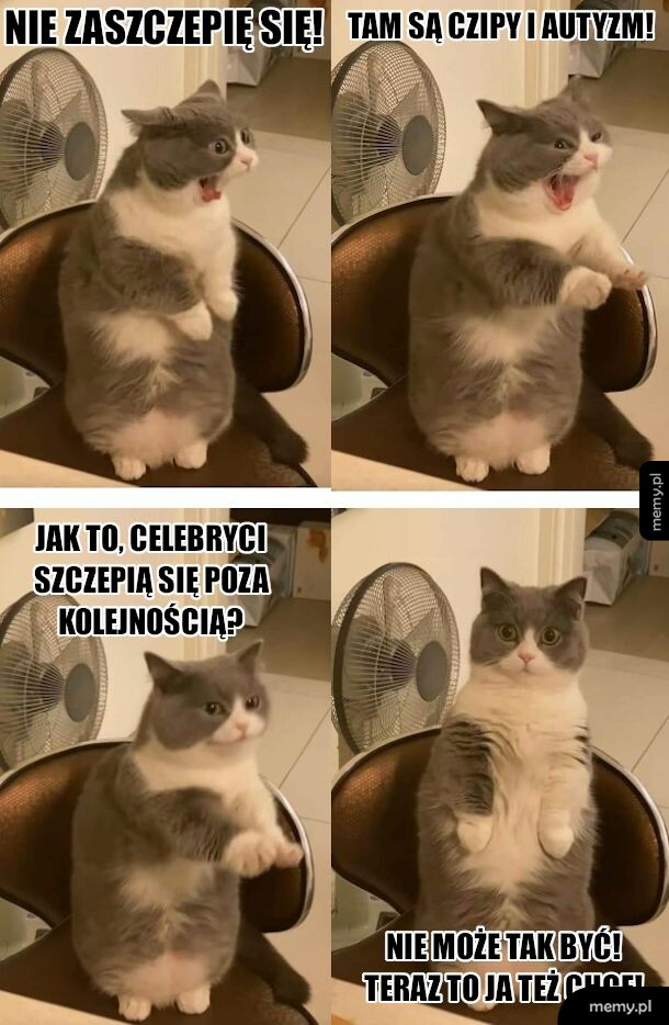 Typowy Polak
