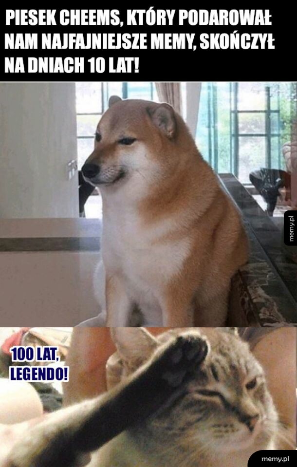 Niech nam żyje