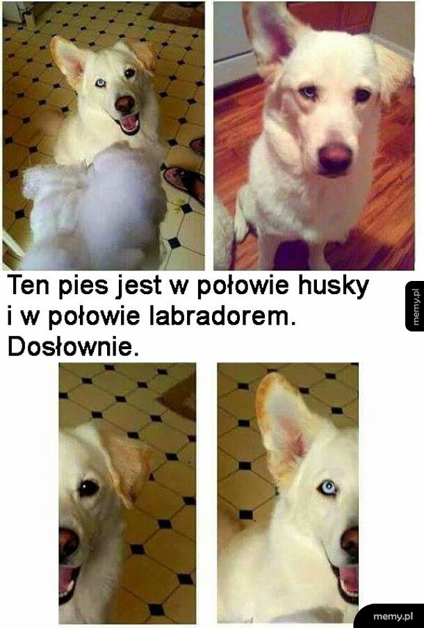 Niezłe połączenie