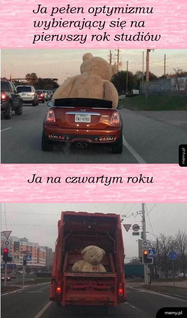 Studia