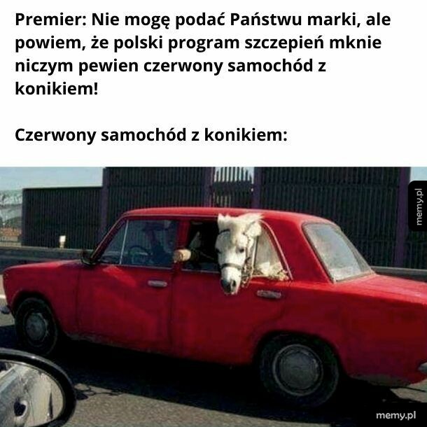 To oczywiście żarcik, bo polski program szczepień stoi