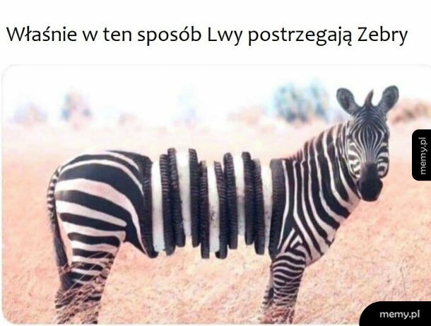 Mmmm