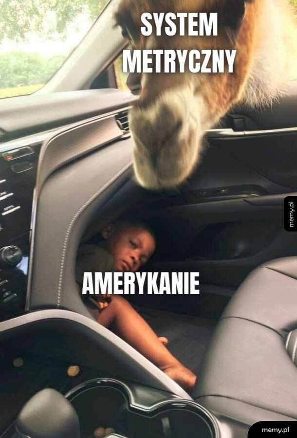 System metryczny
