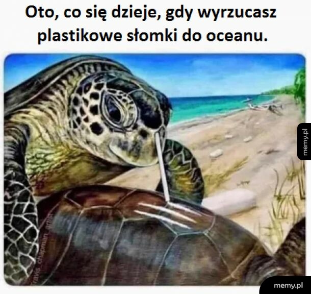 Mem ekologiczny