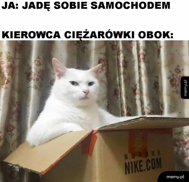 Kierowca ciężarówki