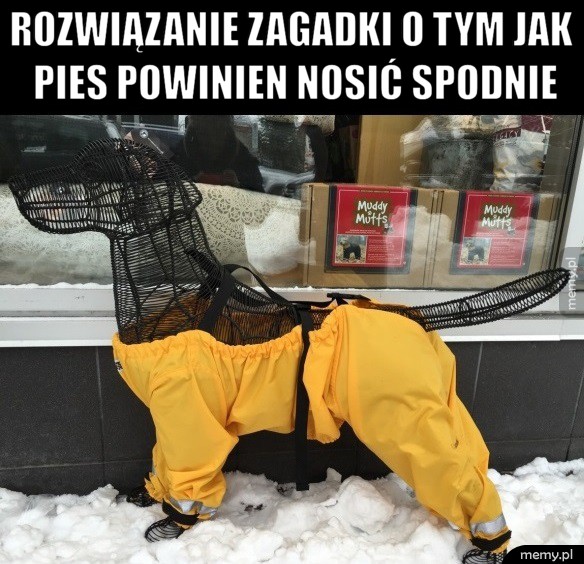 Rozwiązanie zagadki