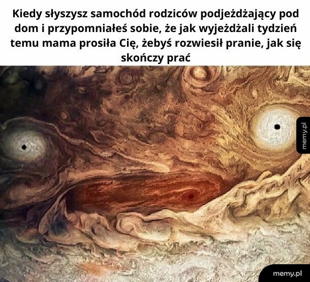 Ładne takie. Spleśniałe.