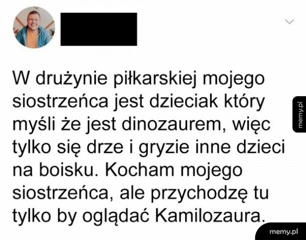 Kamilozaur