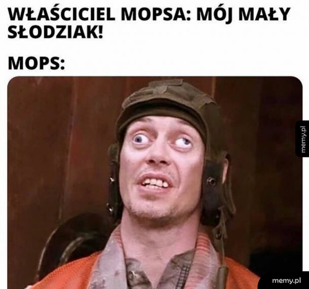 Słodka Psinka
