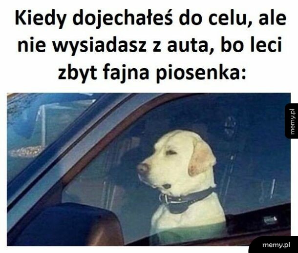 Piosenka