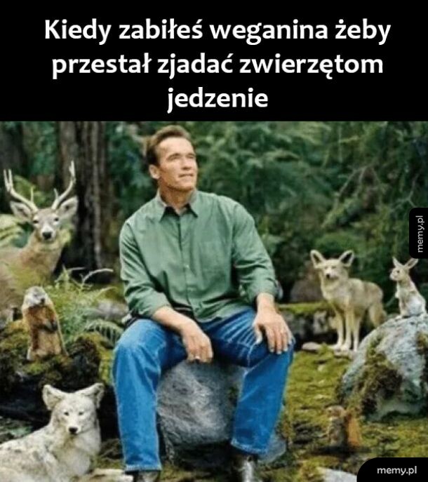 Pomoc zwierzętom