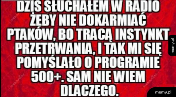 Dokładnie tak działają zasiłki