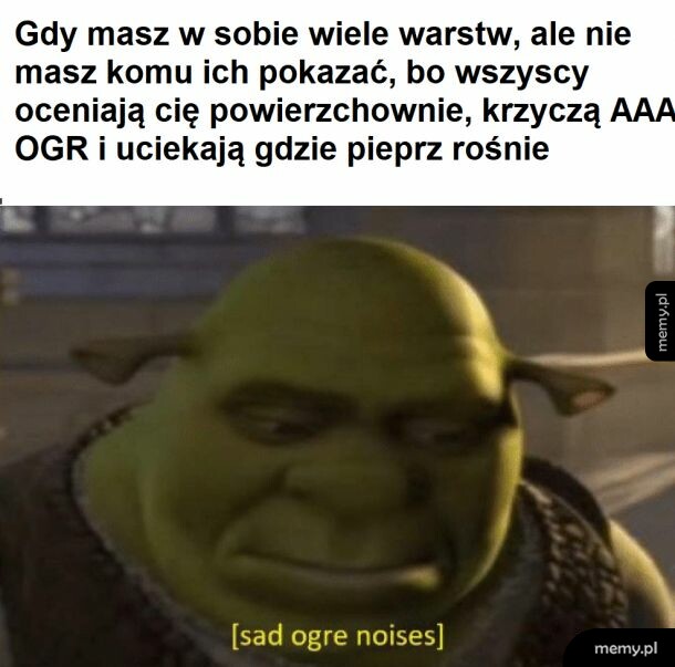 Moje życie to Shrek, tylko bez osła i fabuły