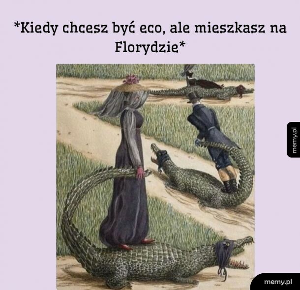 A wy co, dalej w tych Teslach? Nawet mi was nie żal
