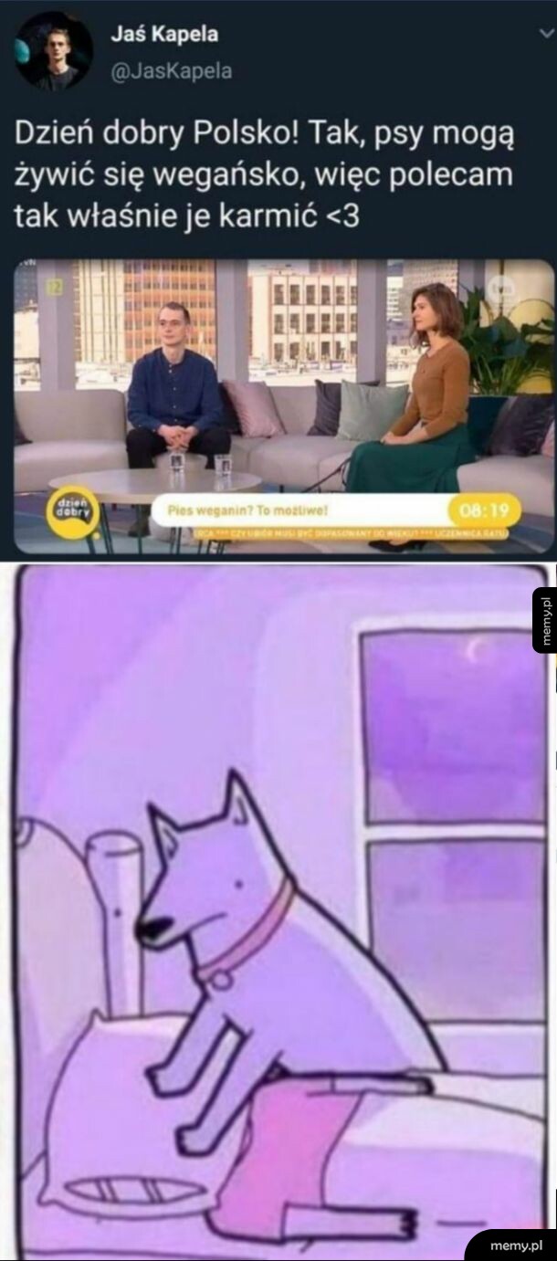 Może jednak nie