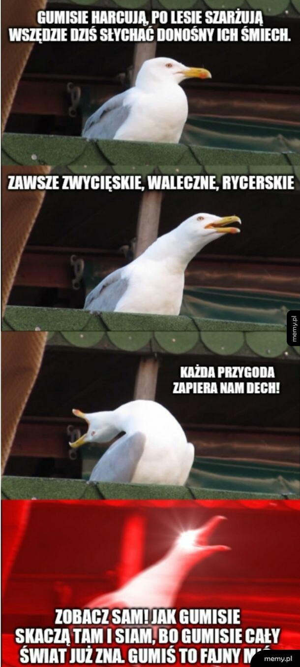 Czas śpiewu