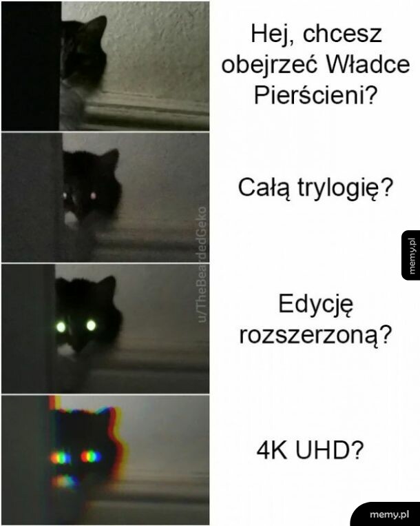 Jeszcze jak!