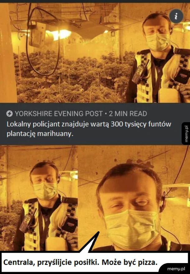 Zielono mi.