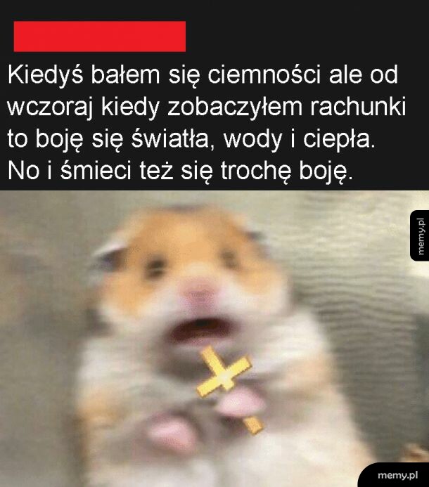 Obawy