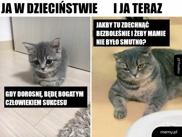 Nie da się tak
