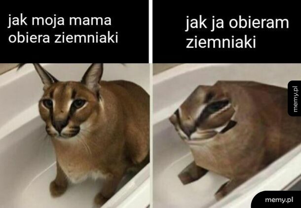 Obieranie ziemniaków
