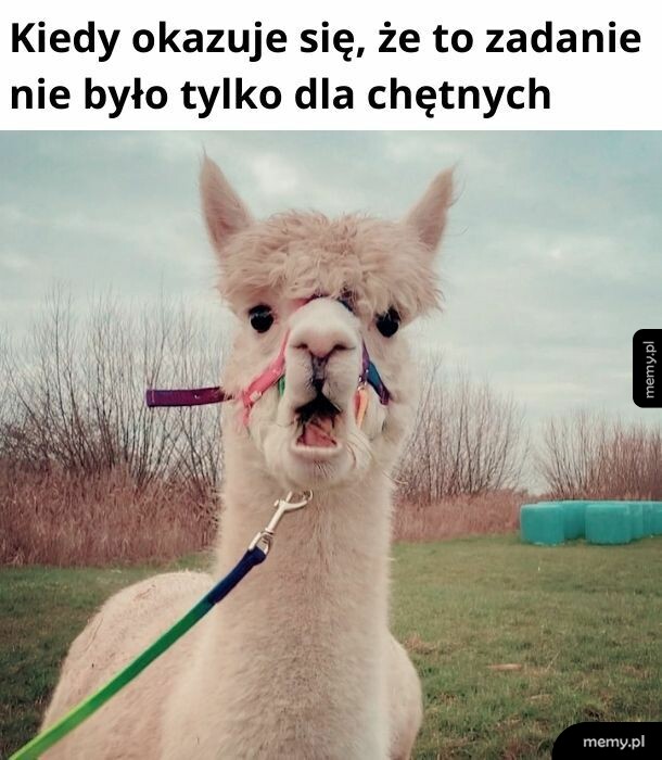 Szok! Niedowierzanie!