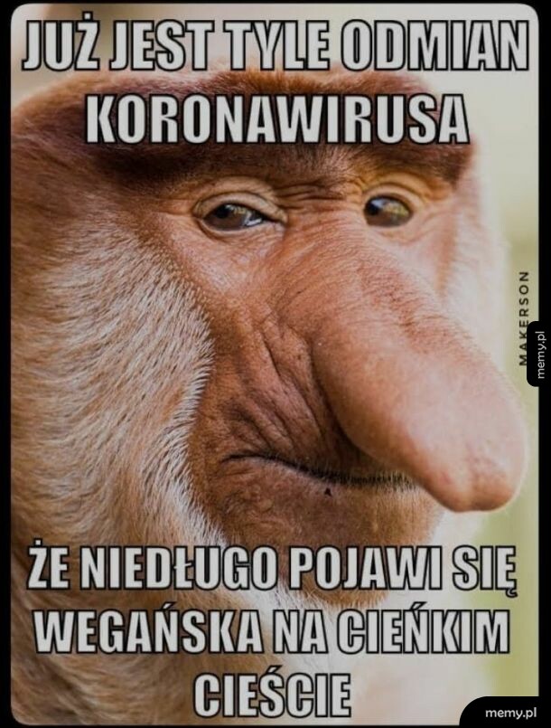 Ale tylko po tureckiej i polskiej