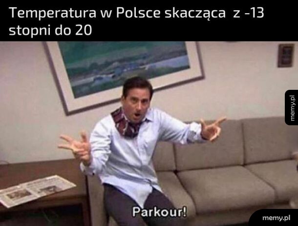 Jest dziko