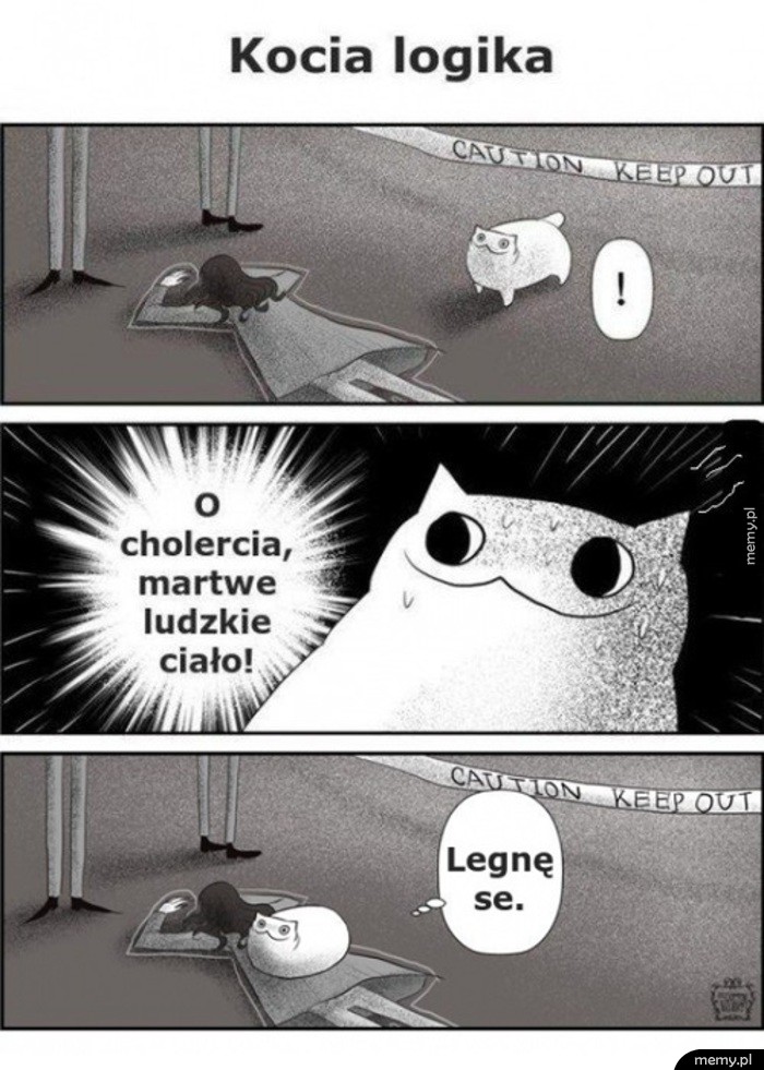 Kocia logika