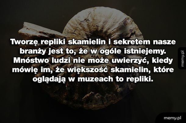 Ciekawostka