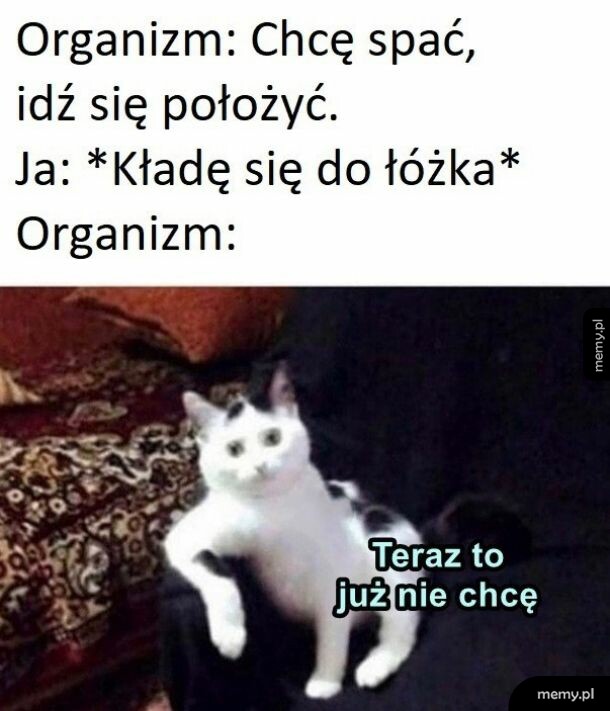 Czas na sen