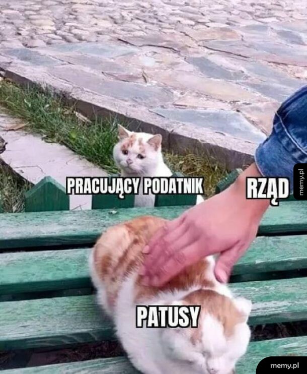 Patusy > Rząd > Pracujący Podatnik