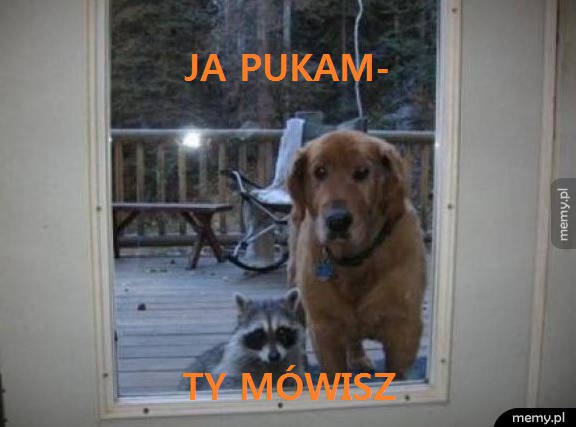 Ja pukam, Ty mówisz