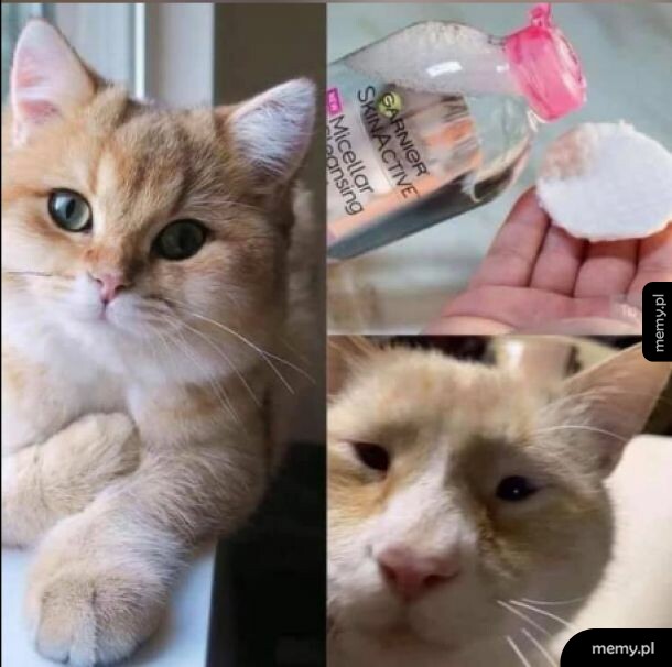 Make-up off