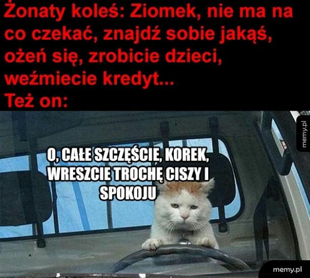 Całe szczęście korek...