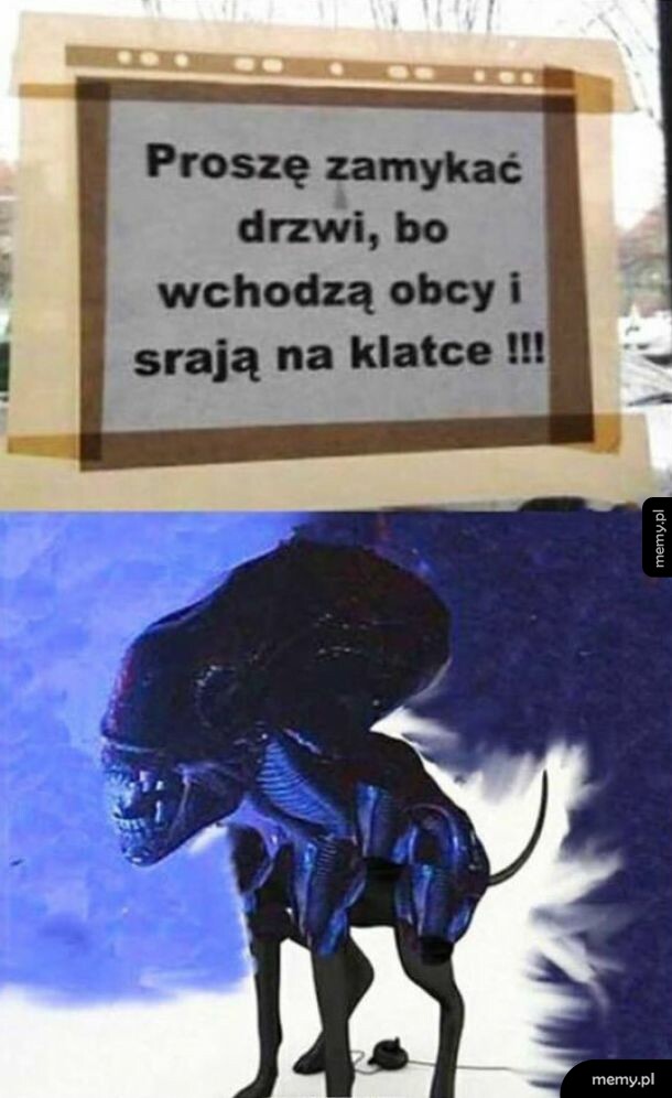 Zamykać drzwi