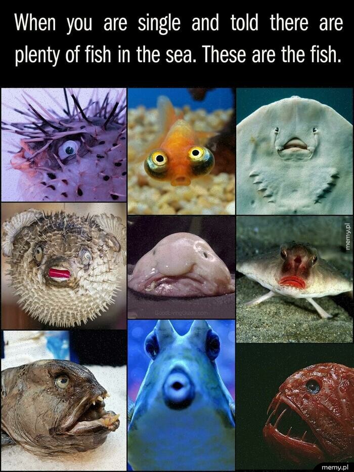 Pół światu tego kwiatu :D