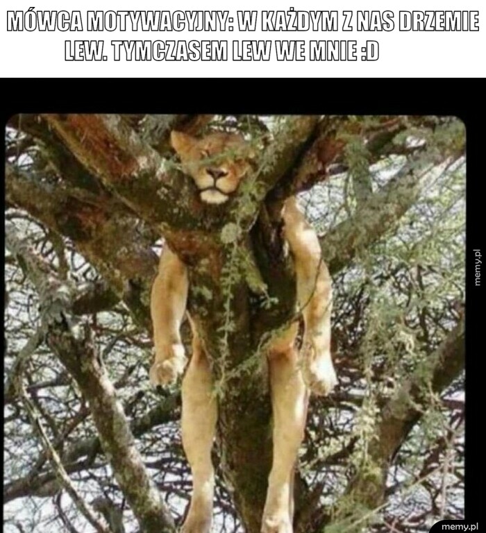 Motywacja