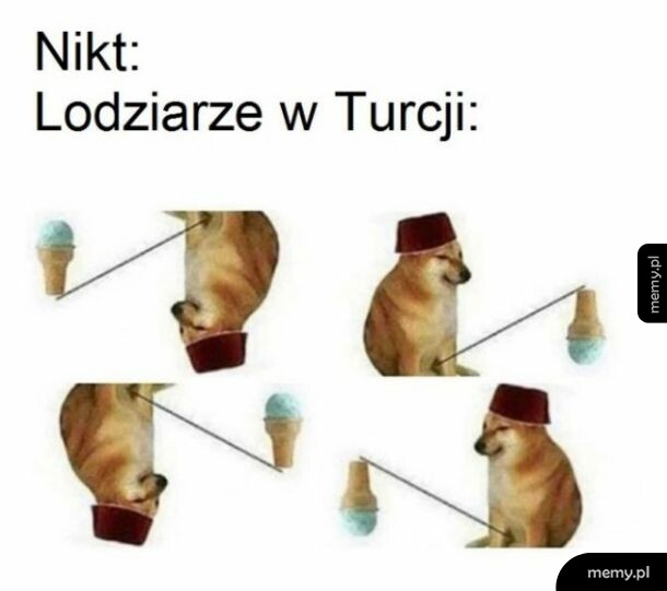 Kręcone lody po turecku