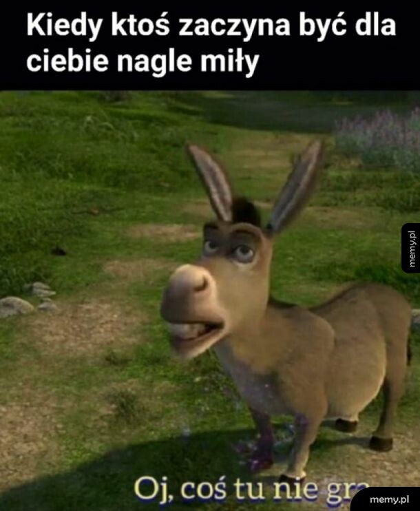 Podejrzane