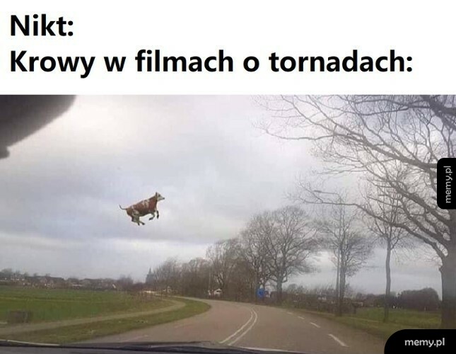 Filmy o tornadach