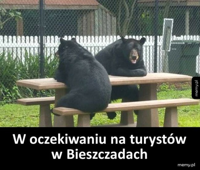 W oczekiwaniu na turystów