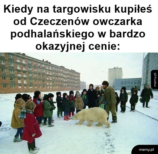 Okazyjna cena