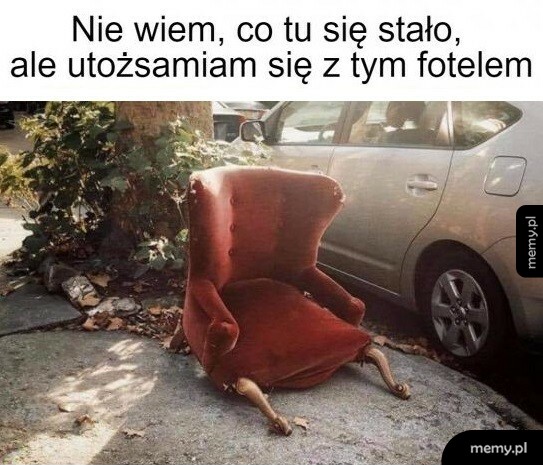 Zdecydowanie