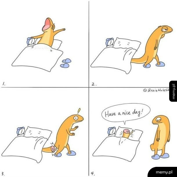 Ogon zostaje